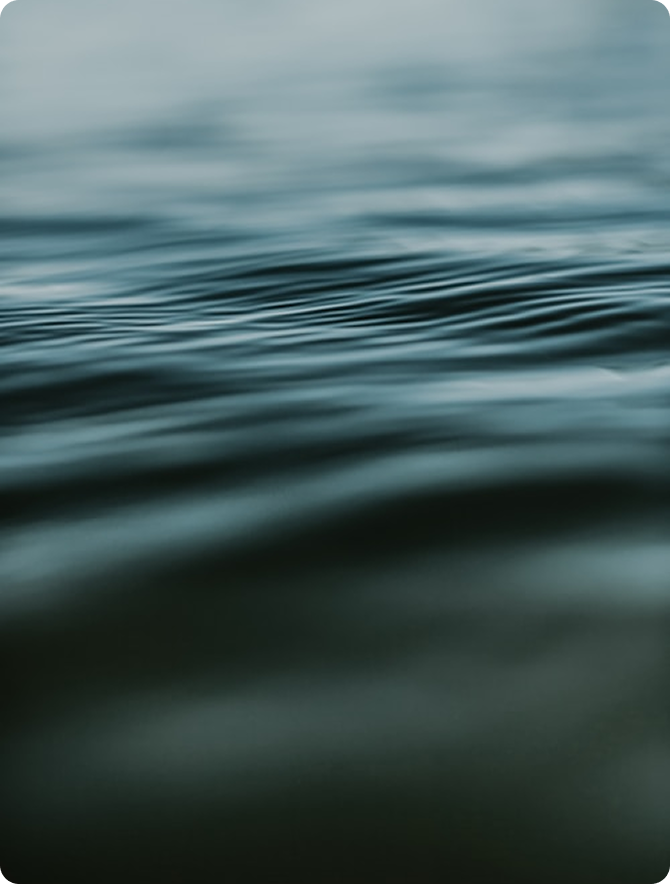 Capture data from any source, any way