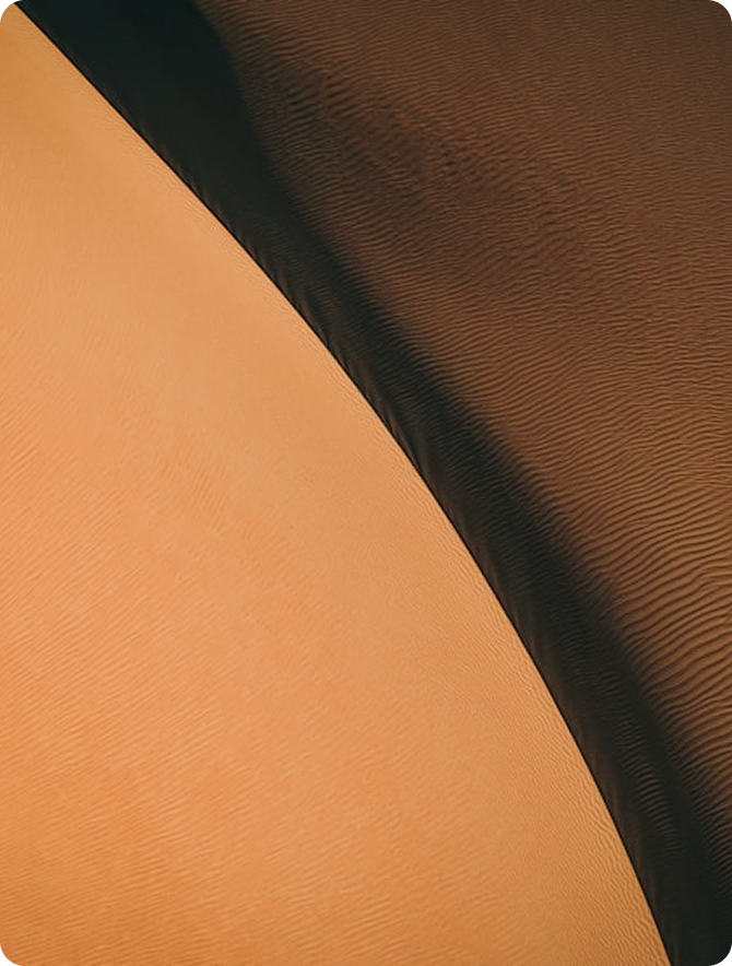 Drive action — internally and across your supply chain